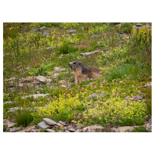 PHOTO84, CLUB, 84 , LUBERON